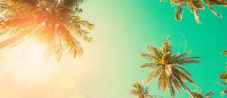 Incentive Travel: The Ins and Outs of All-Inclusive Resorts