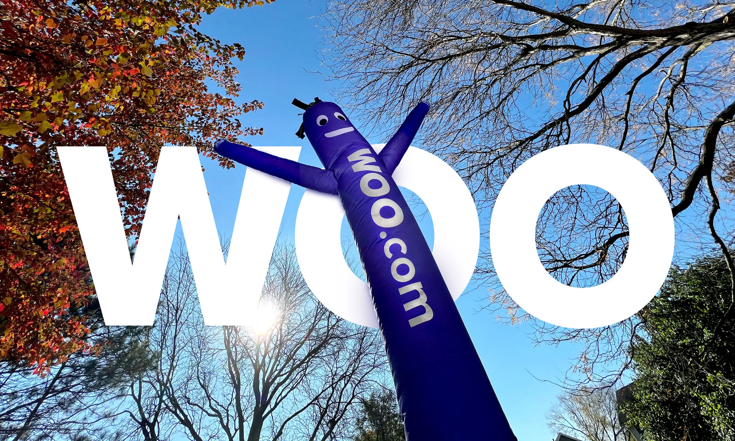 Say hello to Woo.com