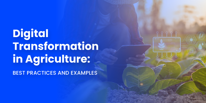 Digital Transformation in Agriculture: Best Practices and Examples