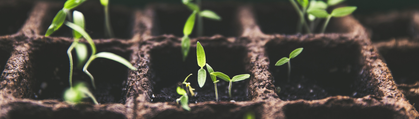 Good Growth Leaders are Unicorns: Here's How To Find Them