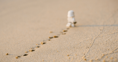 Making your mark: The PMM's startup survival guide