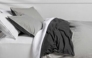 How brands are utilizing chaotic and unhinged marketing campaigns | BANKNOTES