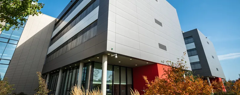 3 Reasons Organizations are Centralizing Email Marketing