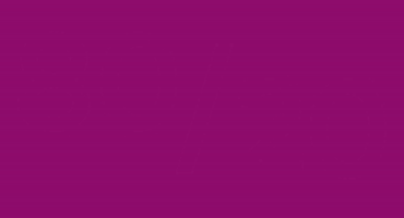 The 80/20 Rule of Merchandising