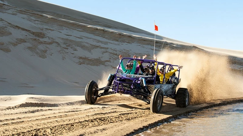 Afraid to Take a Walk on the Wild Side? Your CVB Can Help | Cvent Blog