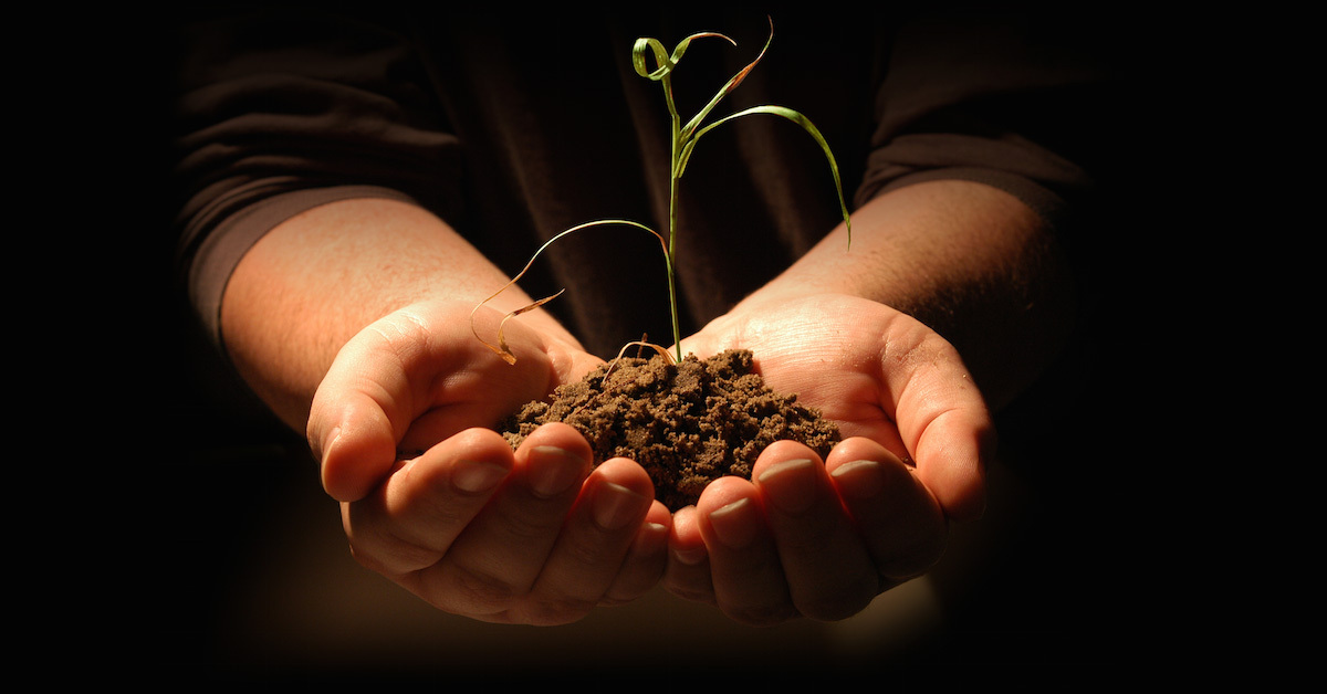 How to optimize your blog posts for search engines - TalentLMS Blog