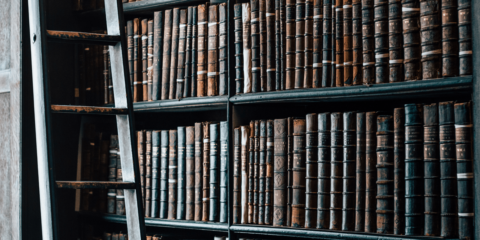 Making the Most of Every Piece of Content - Terminus Site