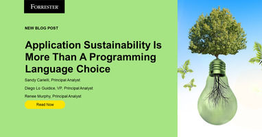 Application Sustainability Is More Than A Programming Language Choice