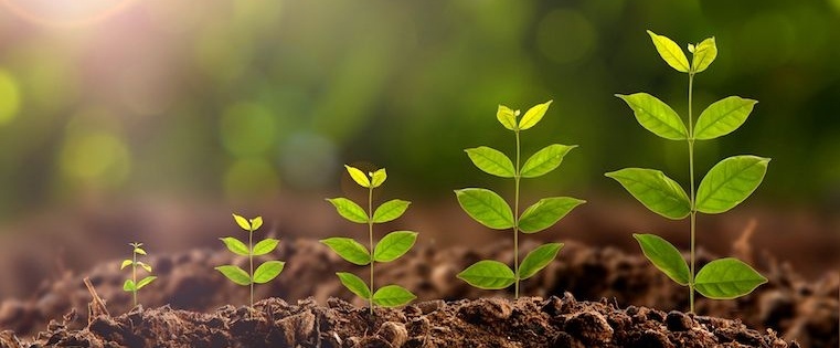 The Brand-New Strategy for Increasing Email Open Rates by 5X [Infographic]