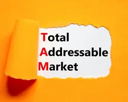 What Is TAM & How to Calculate It