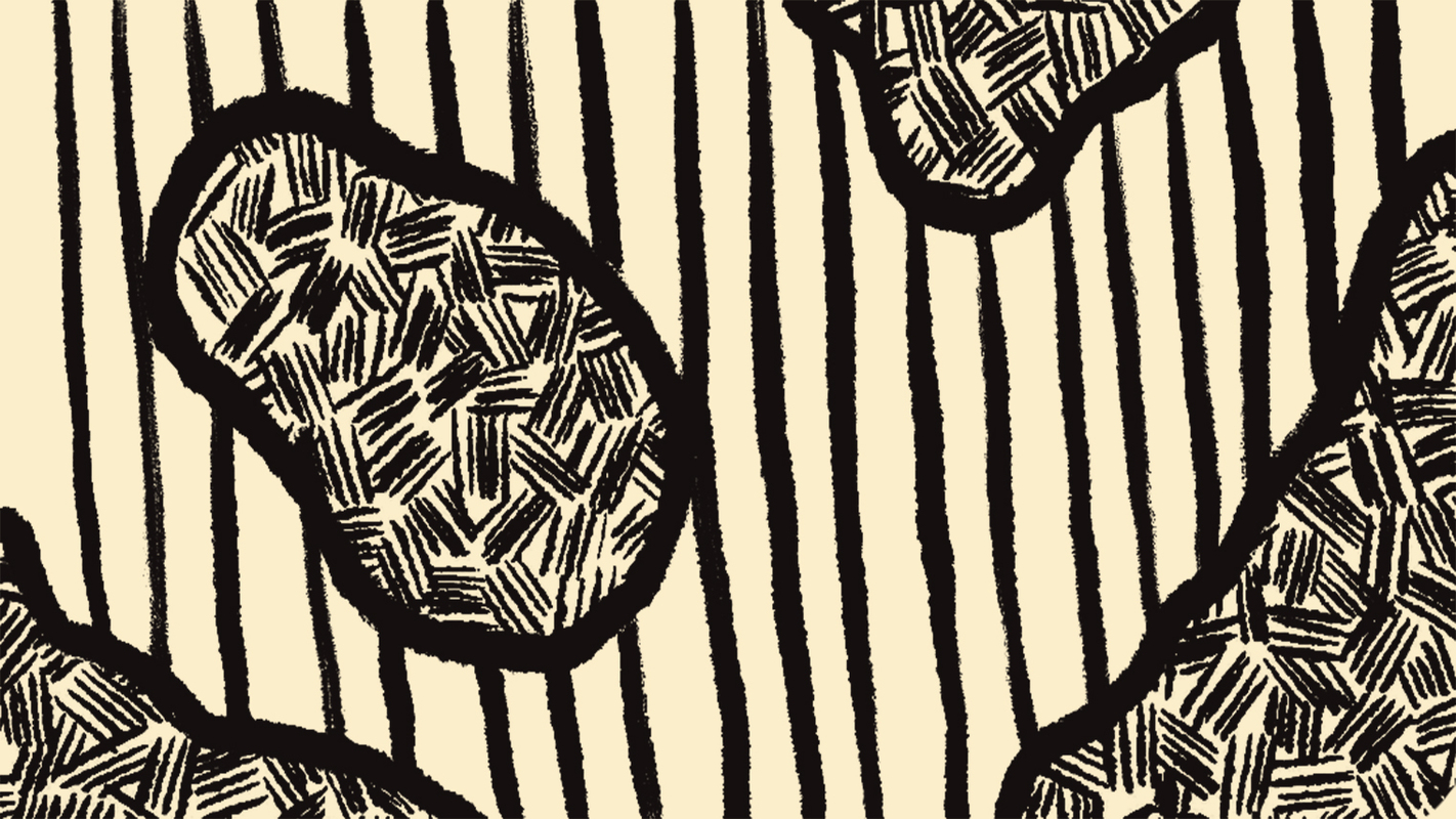 How Automation Helped Little Green Dot Grow