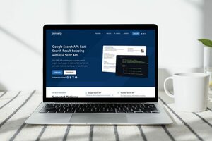 How To Use A Google Search Engine API?