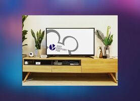 M&A Report: Catching Up with Disney's New TV Networks