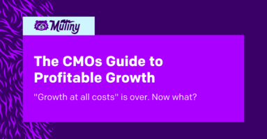 The CMOs guide to profitable growth 