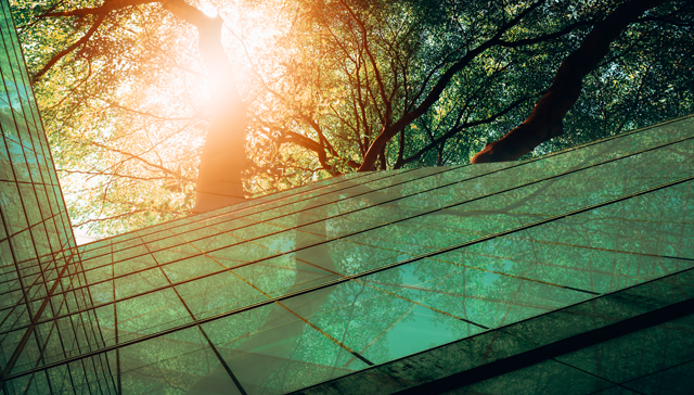 Insurance Trends Spotlight: The Increasing Importance of ESG Data in Underwriting