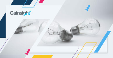 7 Takeaways from CCO Organizational Structure Survey | Gainsight