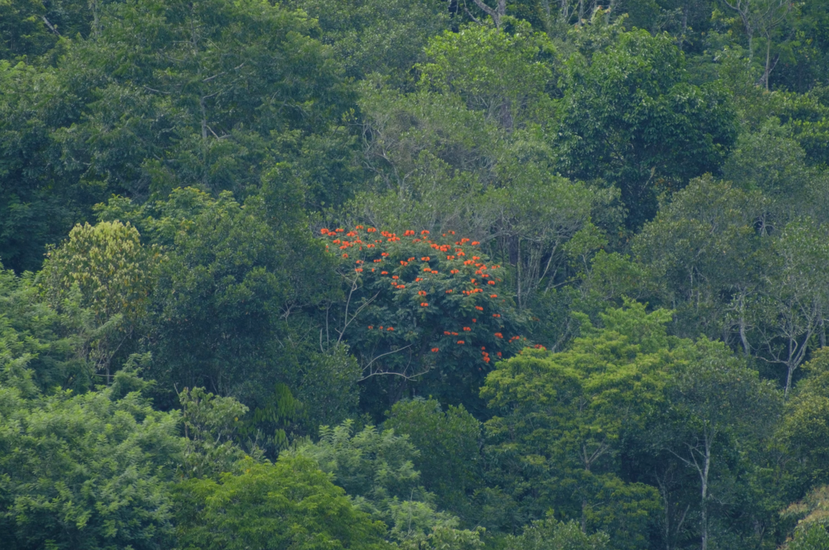 Others Look and Sound Like You. Now What?