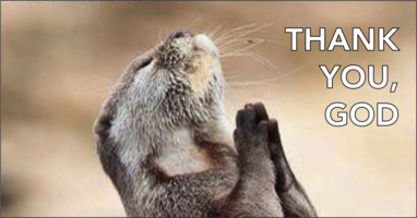 The "Thank God That Exists" List of Tools for Prolific Content Marketers (For #CMWorld)