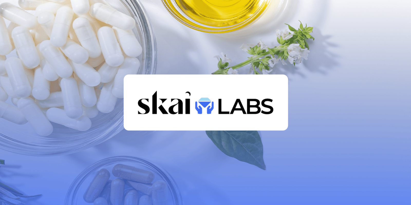 Skai Labs Enables Faster, Flexible Analysis for Large Pharma Brand