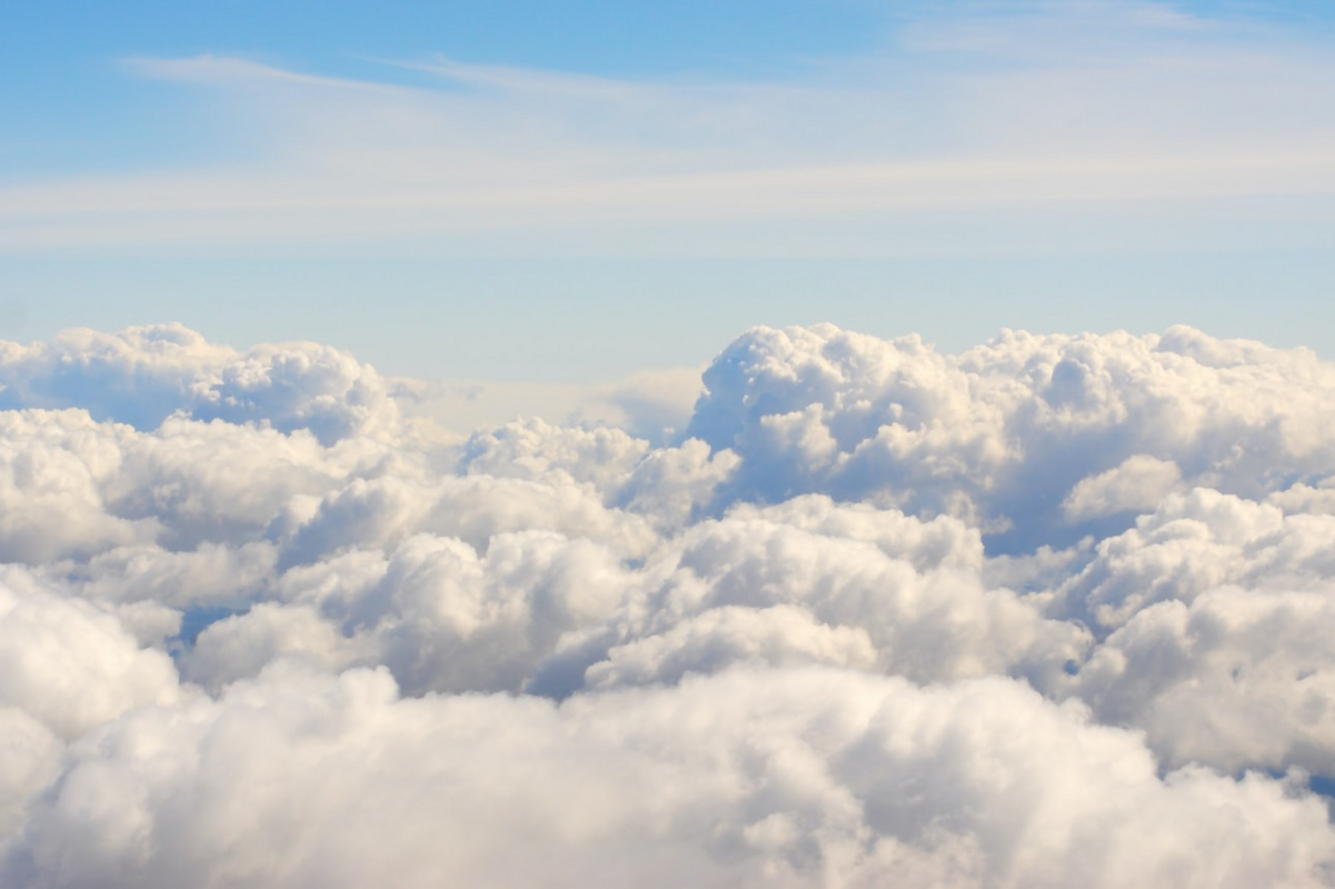 Why PLG companies dominate the Forbes Cloud 100 list ☁️