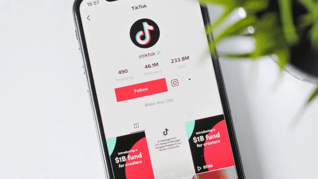 RIP: Why Vine Died But TikTok Thrives