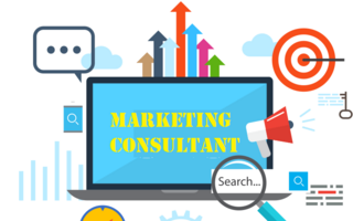 What is a Marketing Consultant?