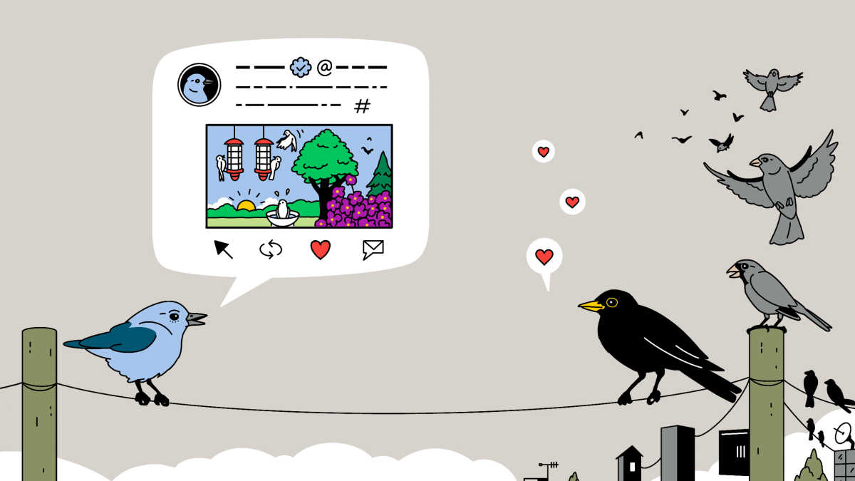 Everything you need to know about... social media planning