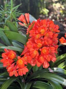 Change Is In The Air For B2B Content Strategy