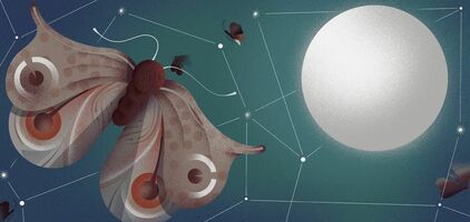 How Personalized Landing Pages 3x-ed Ad Conversion Rates