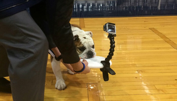 Campaign Spotlight: "March into h.h. gregg"