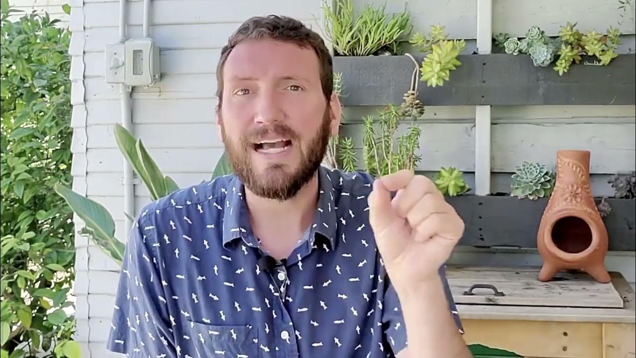 4.3 - Taking Action: Example: Quick Business Resolution | Learn Lifecycle Automation