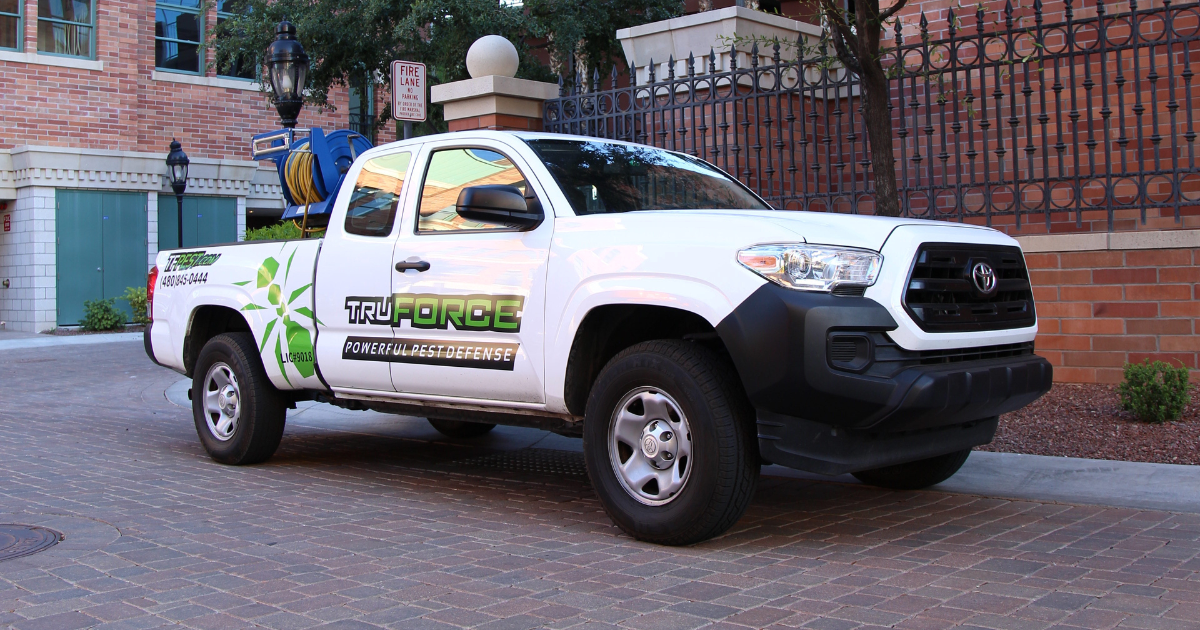 Crushing the competition with Reviews, Messaging, and Referrals 