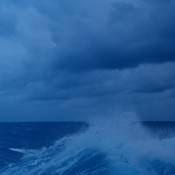 INFUSE INSIGHTS REPORT: VOICE OF THE MARKETER 2024