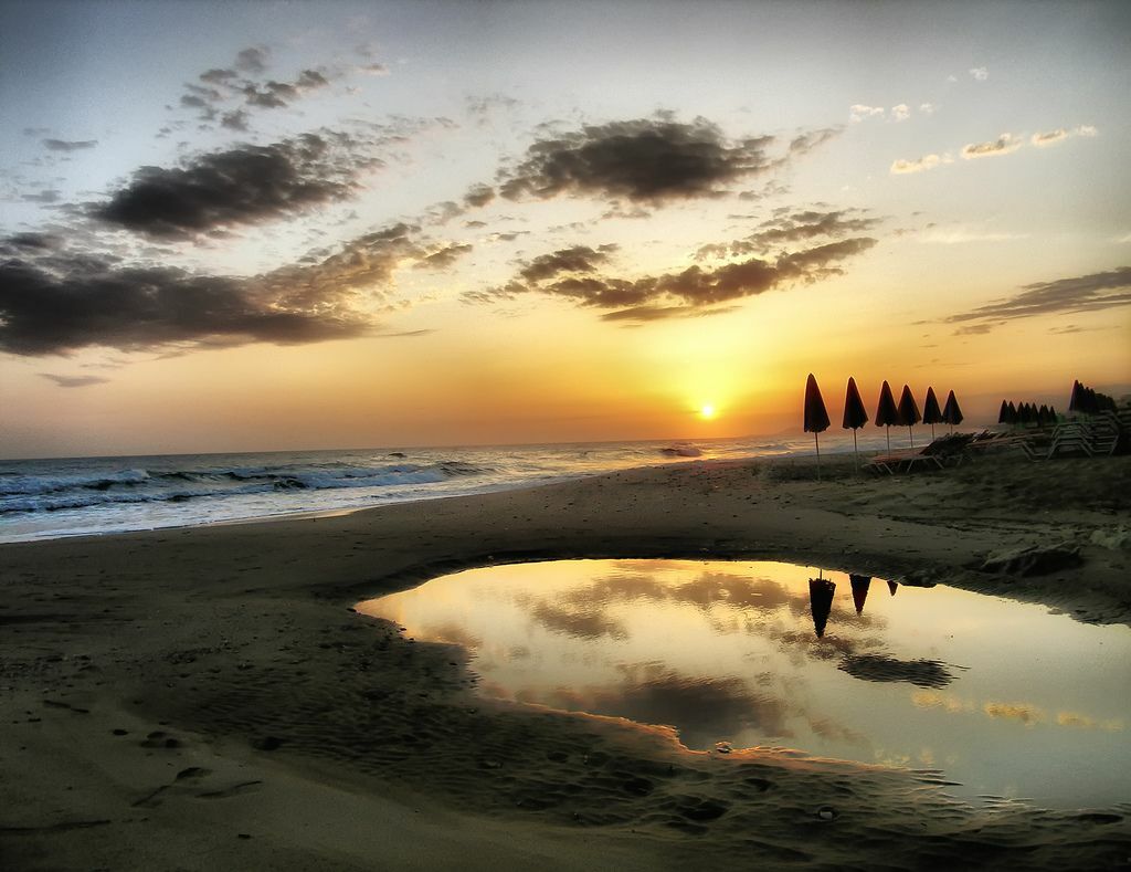 How I Became a Morning Person, Read 5x More Books and Learned a New Language in A Year