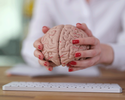 From Psychology to Clicks: Crafting Compelling Emails for Maximum Engagement