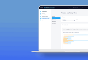 Amazon Marketing Cloud with Skai™: Indentify paths to conversion and incremental ad value
