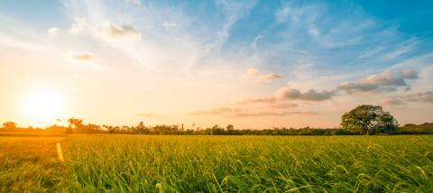 The First 100 Days: Getting Started as a Sales Enablement Leader