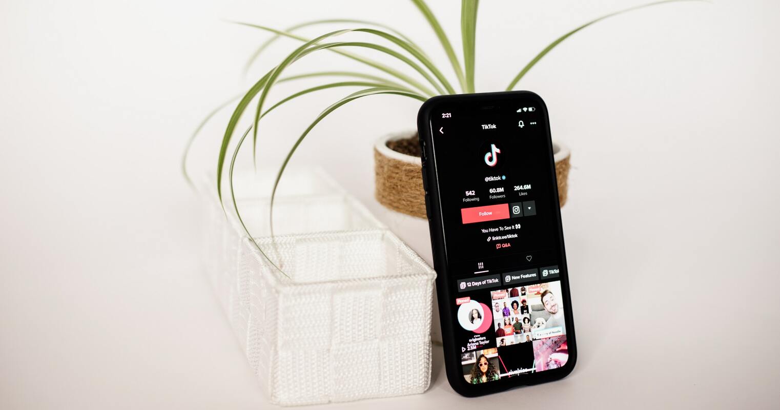 Dream bigger! The reach of creators is much more extensive than you may imagine