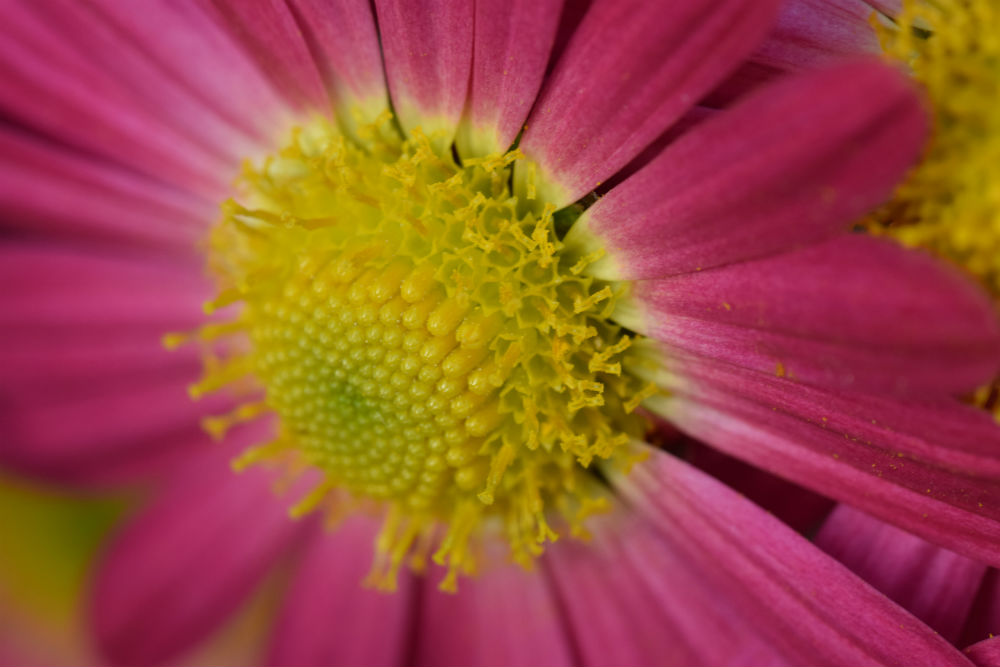 Can a unique Way of Selling win more deals?