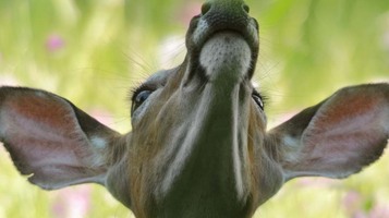 How to add a client feedback form to your site