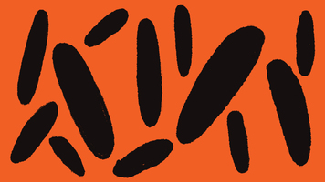 How Email Helps The Detroit Bus Company Deliver Joy