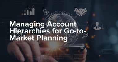 Managing Account Hierarchies for Go-to-Market Planning
