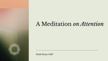 Field Notes #107: A Meditation on Attention