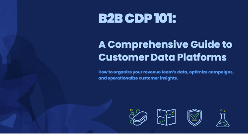 B2B CDP 101: A Comprehensive Guide to Customer Data Platforms