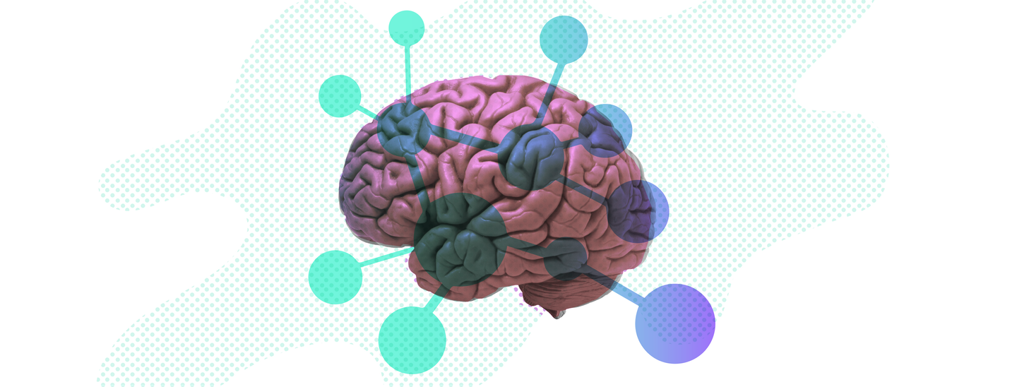 Stop Managing Knowledge and Bring Your Knowledge Network to Life