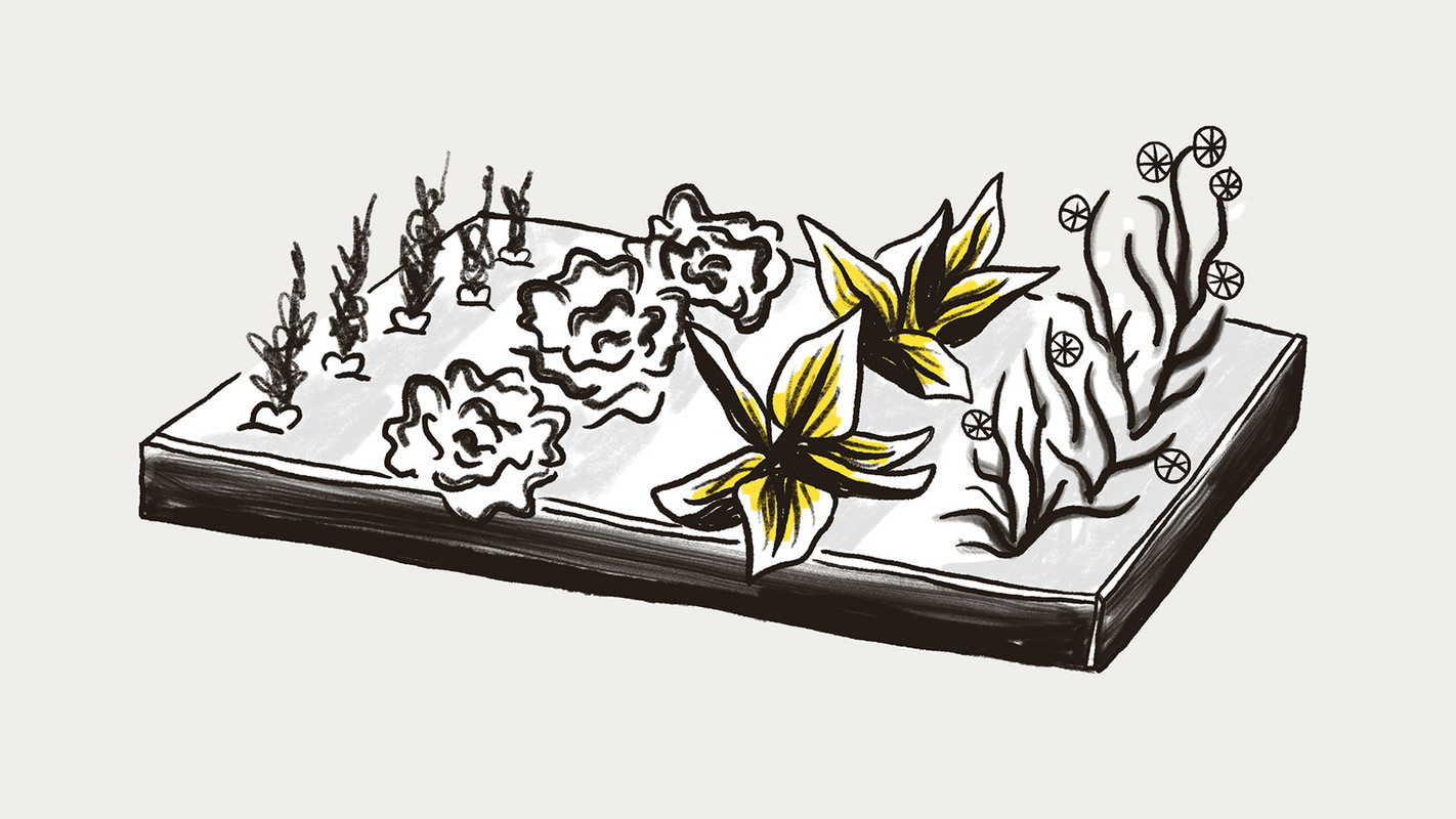 4 Steps to Turn Audience Data into Campaigns That Drive Engagement