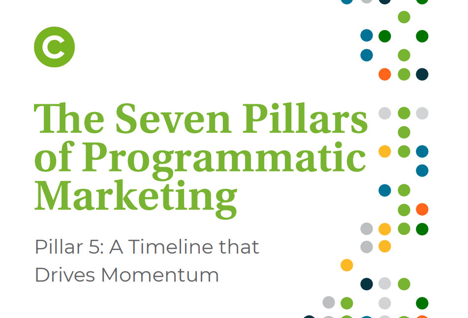 The Seven Pillars of Programmatic Marketing