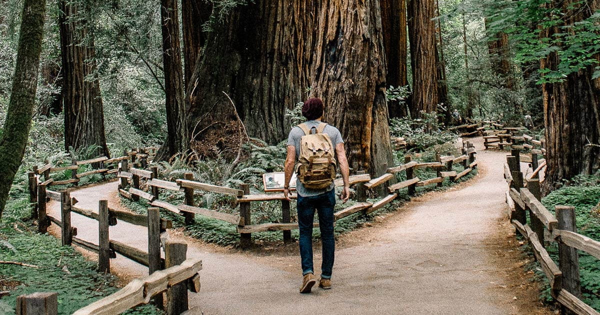 3 Sitecore Alternatives to Consider in 2022