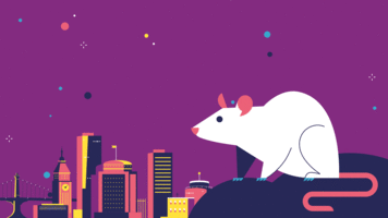 Three Insights for a Prosperous Lunar New Year