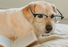 9 Subject Lines that Get Your Emails Opened